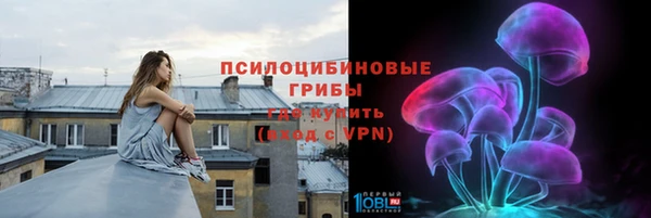 мяу мяу мука Надым