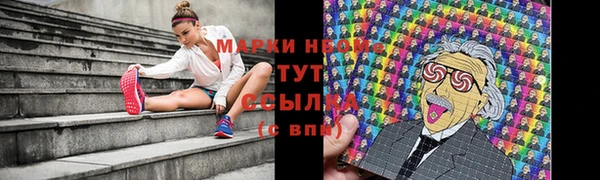 прущая мука Ельня