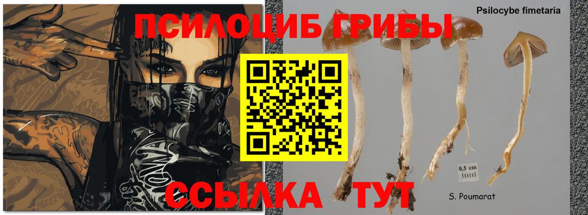 Новоуральск  Галлюциногенные грибы MAGIC MUSHROOMS  Вход с VPN 